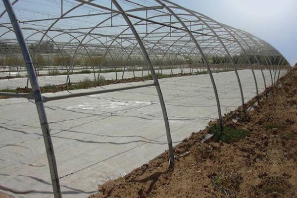 تصویر 2 از خرید نایلون ضد عفونی عرض ۱۰ متر + قیمت کارخانه